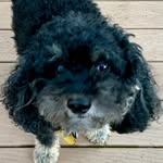 Janet Rigler - @janetrigler - Instagram