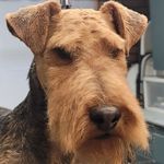 Jane Rinehart - @rinehart.jane - Instagram