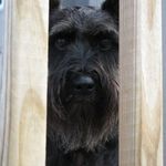 Janet Rinehart - @janet.rinehart.7 - Instagram