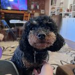 Ripley Jane Allbritton - @_ripley_jane_ - Instagram