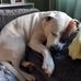 Jane Robb - Facebook
