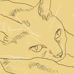 Jane Robb - @catbebotheredillustration - Instagram