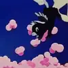 janeroche59 - @janeroche59 - TikTok
