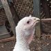 Jane Rock - Facebook