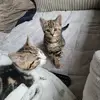 Jane Rodda - @jane.rodda - TikTok