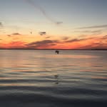 Jane Roller - @jrsunsets - Instagram