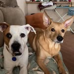 Jane Romeo - @janeh1954 - Instagram