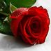 Jane Roos - Facebook
