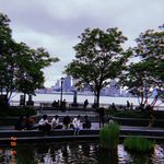Jane Roosevelt - @jane_roosevelt - Instagram