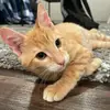 Rosette Jane - @rosette.jane79 - TikTok