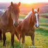 Janet Broughton - @janet.broughton3 - TikTok