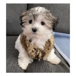 Jane Rouse - @littletabs17 - Instagram
