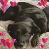 janeroys38 - @janeroys38 - TikTok