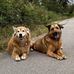 Jane Rucker - Facebook