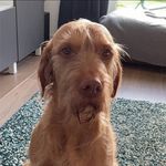 Jane Ruffell - @jane_ruffell - Instagram