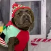 Jane Rushby - @jane.rushby - TikTok