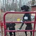 Janet Rushing - Facebook