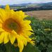 Jane Salter Johnston - Facebook