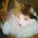 Jane Sampson - Facebook
