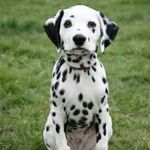 Jane Sampson - @betteritjohns - Instagram