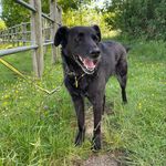 Jane Sampson - @janesampson20 - Instagram