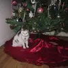 janesandlinbagwell - @janesandlinbagwell - TikTok
