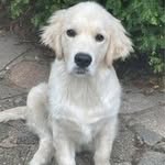 Janet Saville - @janetsaville64 - Instagram