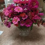 Jane Saxton - @jane.saxton.378 - Instagram