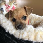 Rubie Jane Saxton - @rubie_plainjane - Instagram