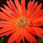 Jane Schalk - @janeschalk - Instagram