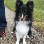 Cricky Schilling - @kayla_jane_schilling - Instagram