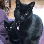 Jane Ross Schilling - @janerossschilling - Instagram
