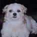 Jane Schilling - Facebook
