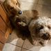 Jane Schilling - Facebook