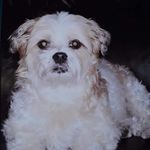 Jane Schilling - @jane.schilling.7503 - Instagram