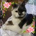 Jane Scholl - Facebook