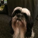Jane Schrøder - @janeschroeder1971 - Instagram