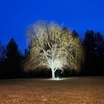 Jane Schumacher - @schujm83 - Instagram