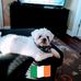 Jane Searles - Facebook