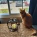 Jane Seaver - Facebook