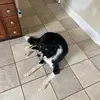 Jane - @janesecord - TikTok