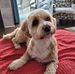 Jane Shaver - Facebook
