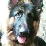 Jane Shearer - @jane.shearer.94 - Instagram
