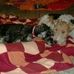 Jane Shearer - Facebook