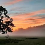 Janet Sheedy - @sheedyjanet - Instagram