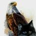 Janet Sheetz - Facebook