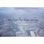 Jane Sheffield - @buffeyerfo - Instagram