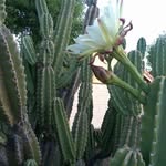 Jane Shell - @jane.shell.71 - Instagram