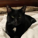 Jane Sherrill - @janeandsophiegirl - Instagram