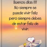 Jane Shine - @yaneth.santiago.731572 - Instagram